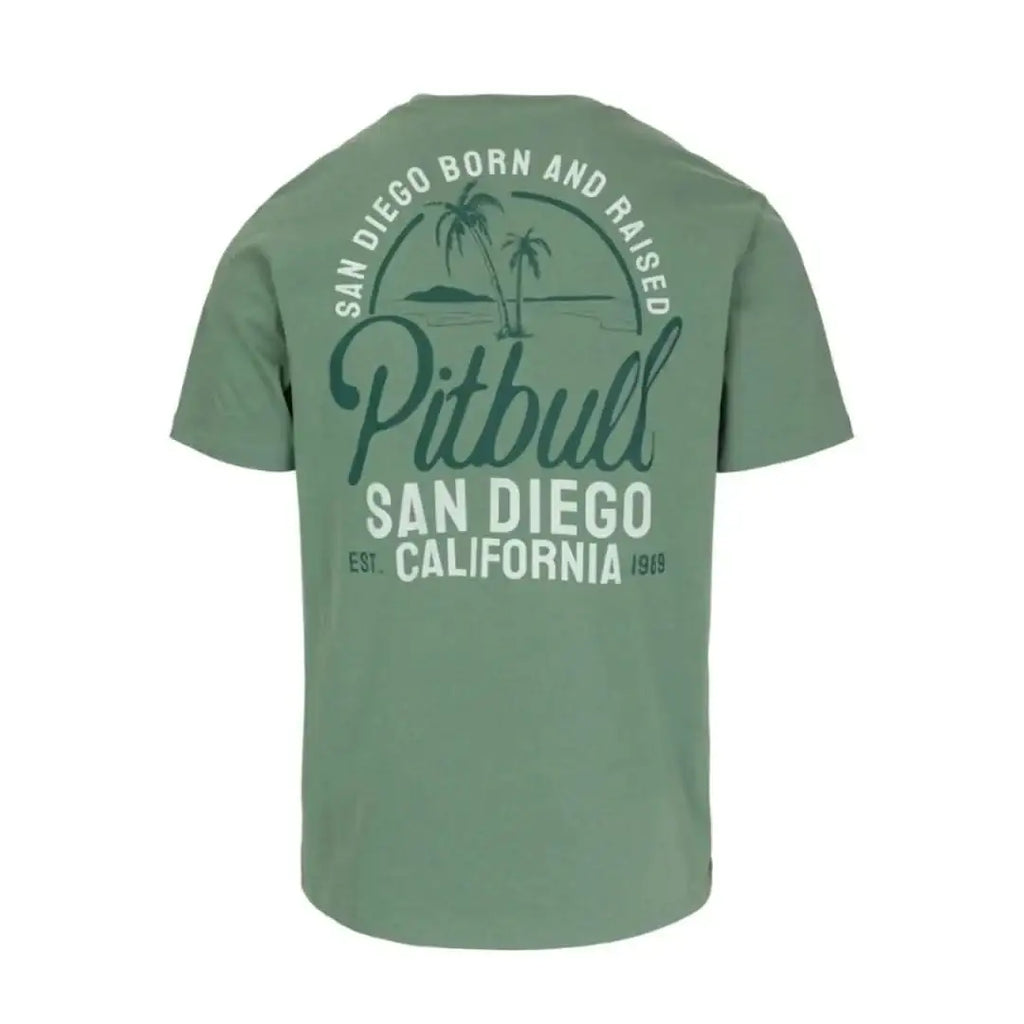 pitbull-herren-t-shirt-san-diego-born-regular-fit-in-mint-100percent-bw-1 - JeanZone